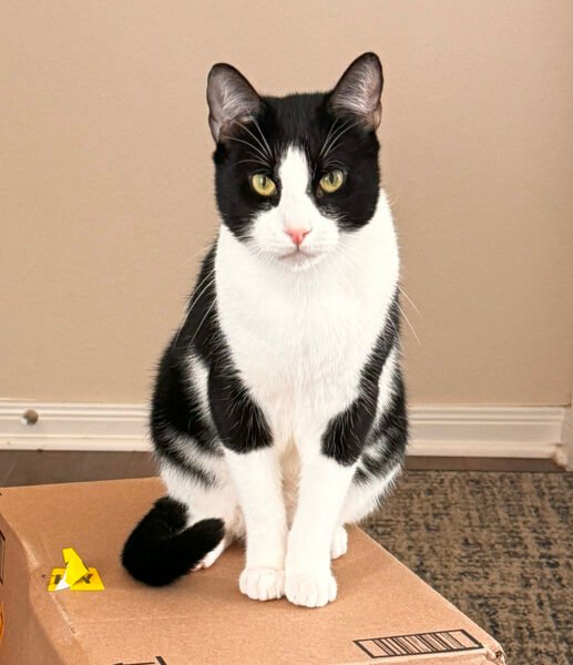 Small Acts, Big Miracles