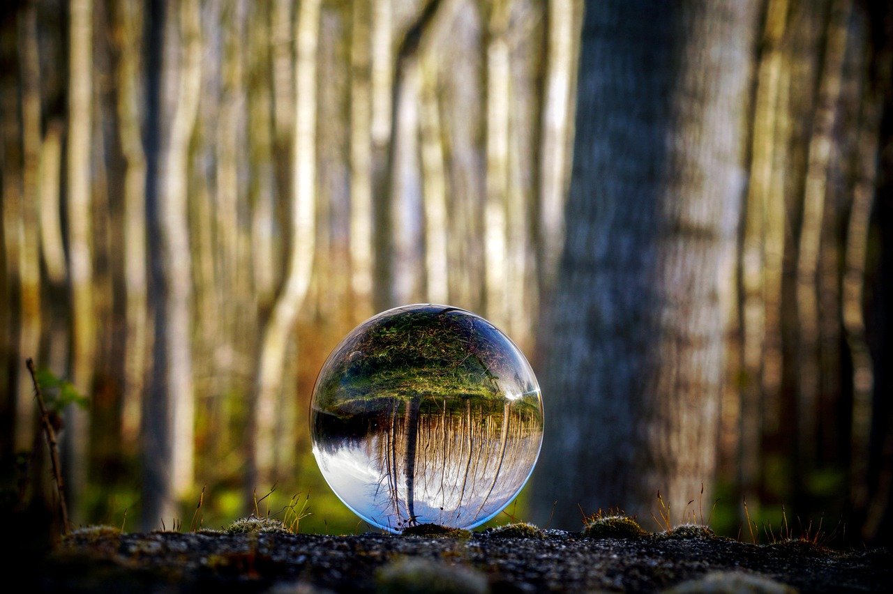 Glass sphere reflecting an inverted forest, symbolizing clarity, perspective, and new beginnings